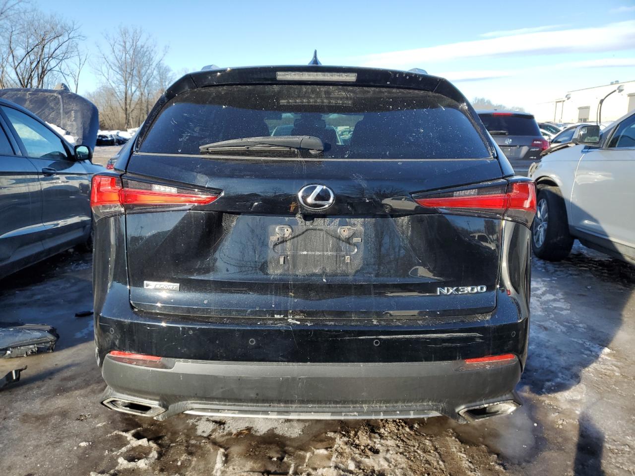2019 Lexus Nx 300 Base VIN: JTJBARBZ7K2210069 Lot: 45569615