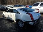 2011 Cadillac Cts Performance Collection for Sale in Marlboro, NY - All Over