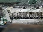 2004 Chevrolet Silverado C1500 იყიდება Longview-ში, TX - All Over