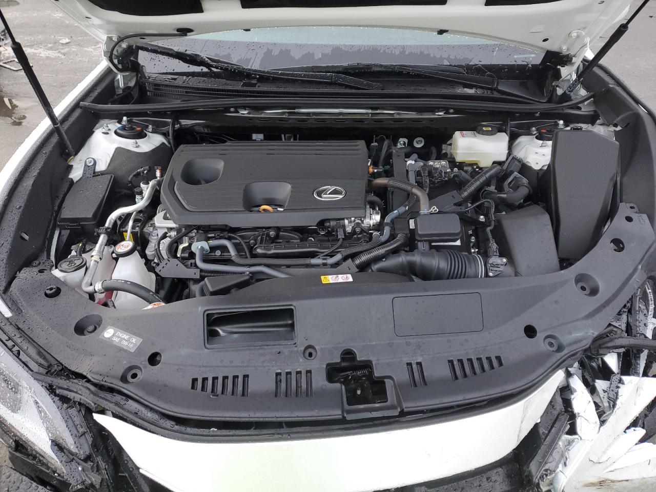 2024 Lexus ES - Image 13