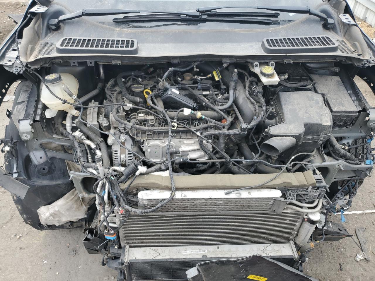 2019 Ford Escape - Image 13