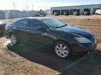 2009 Lexus Es 350 for Sale in Chicago Heights, IL - Rear End