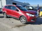 2015 Ford Escape Titanium for Sale in Las Vegas, NV - Front End