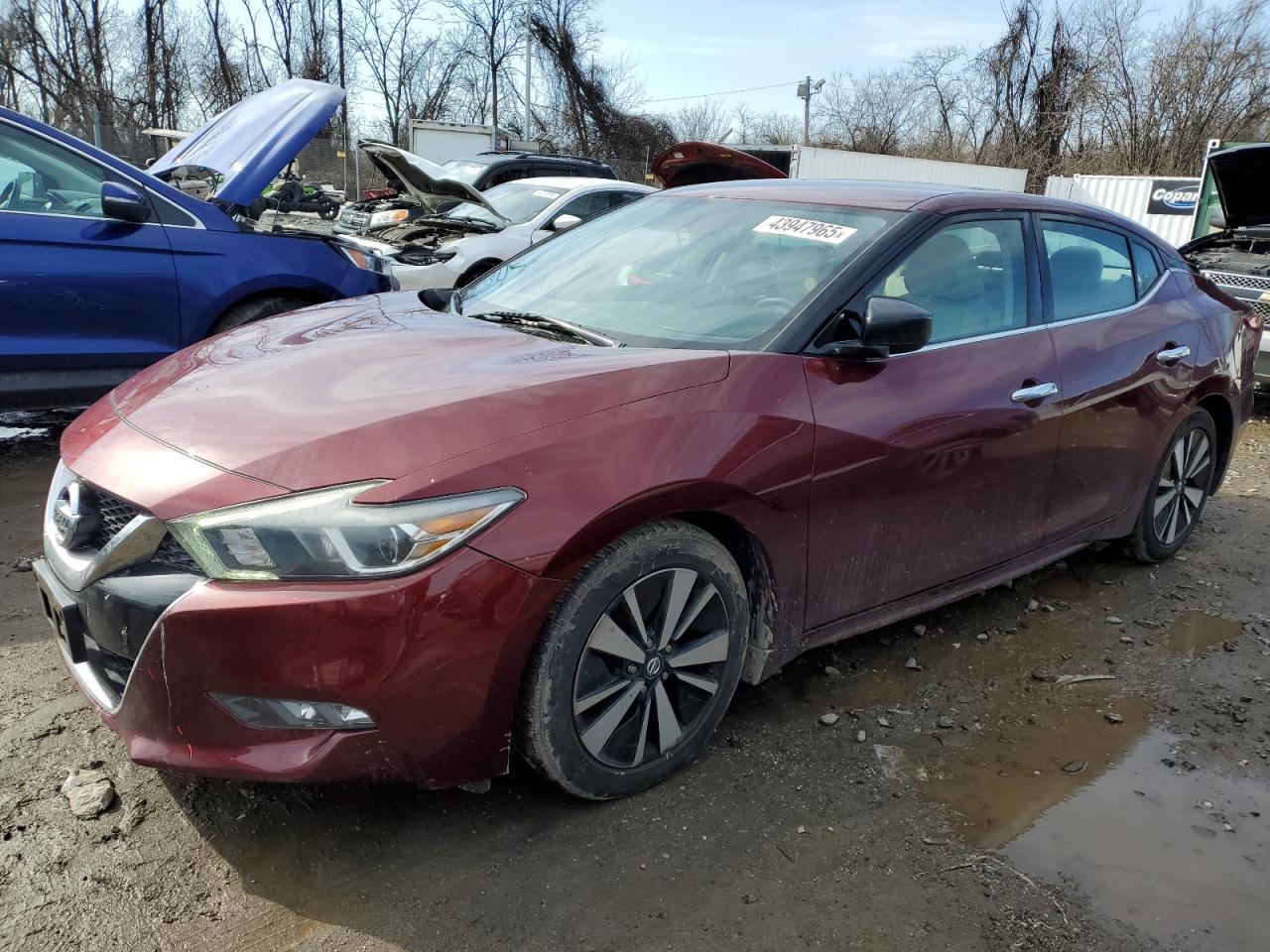 1N4AA6AP8GC391526 NISSAN MAXIMA 2016