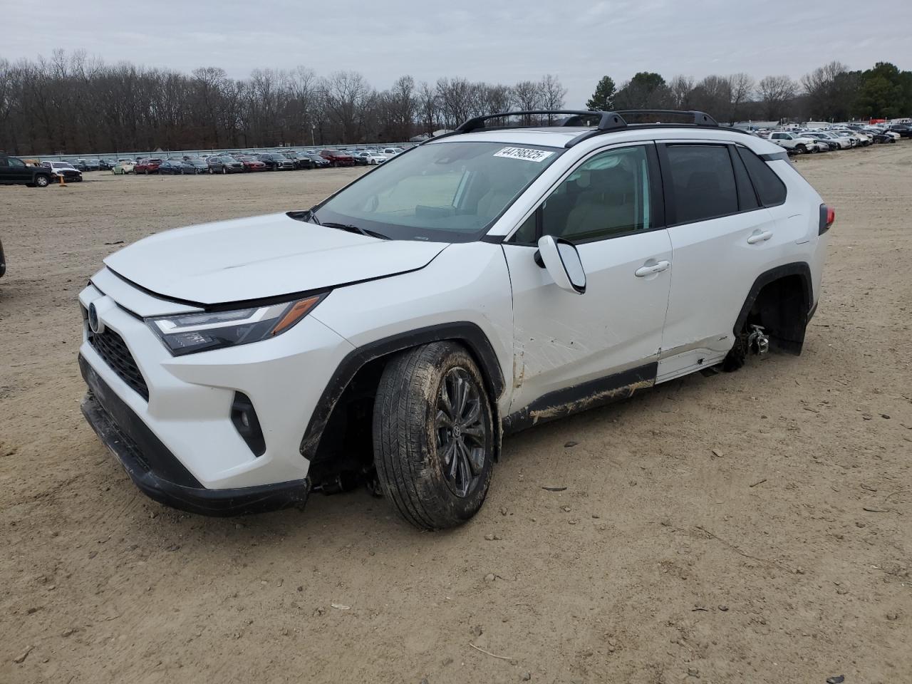 2023 Toyota RAV 4 - Image 1