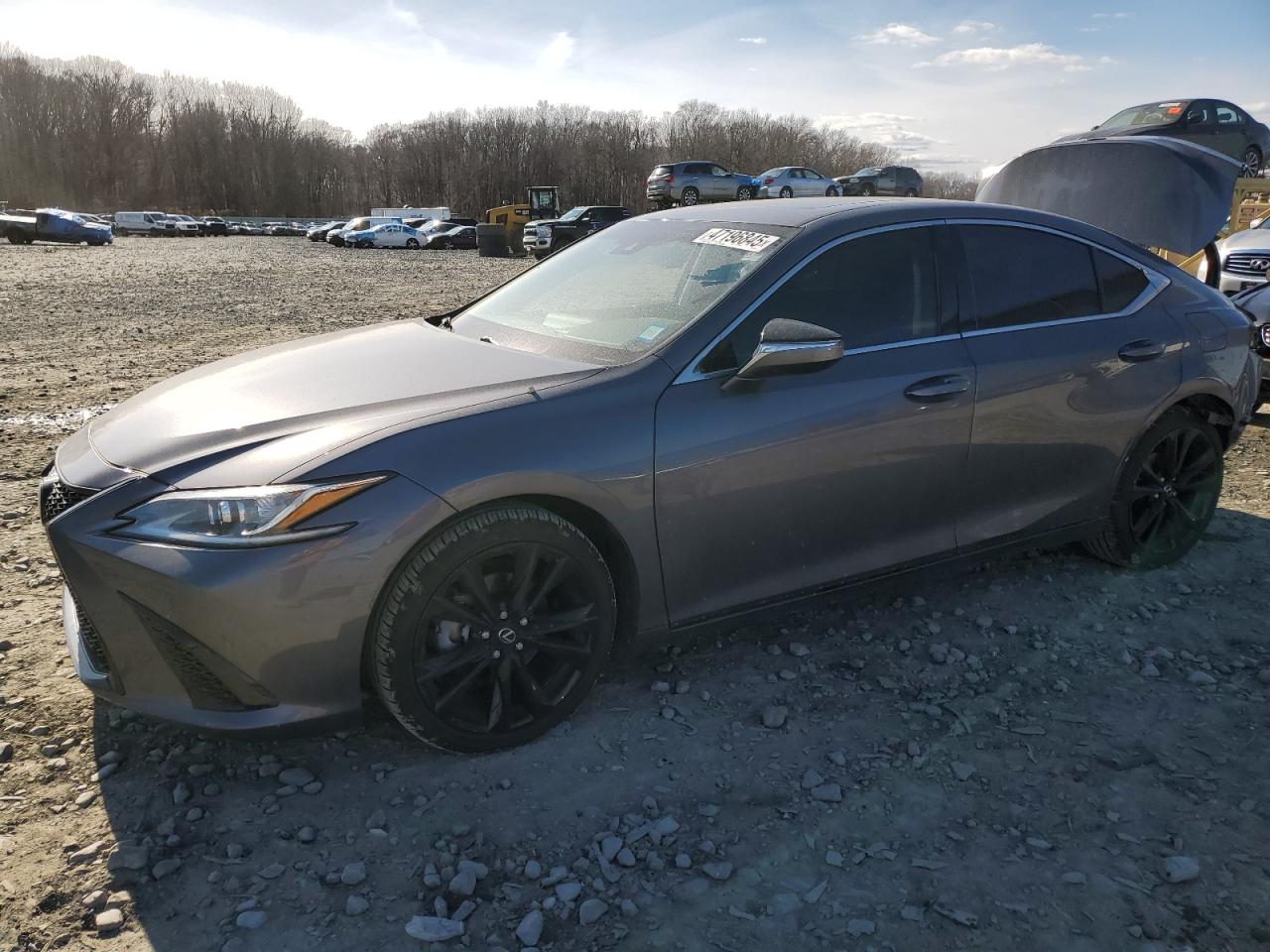 2021 Lexus ES - Image 1