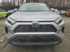 2022 Toyota Rav4 Xle en Venta en Waldorf, MD - Rear End