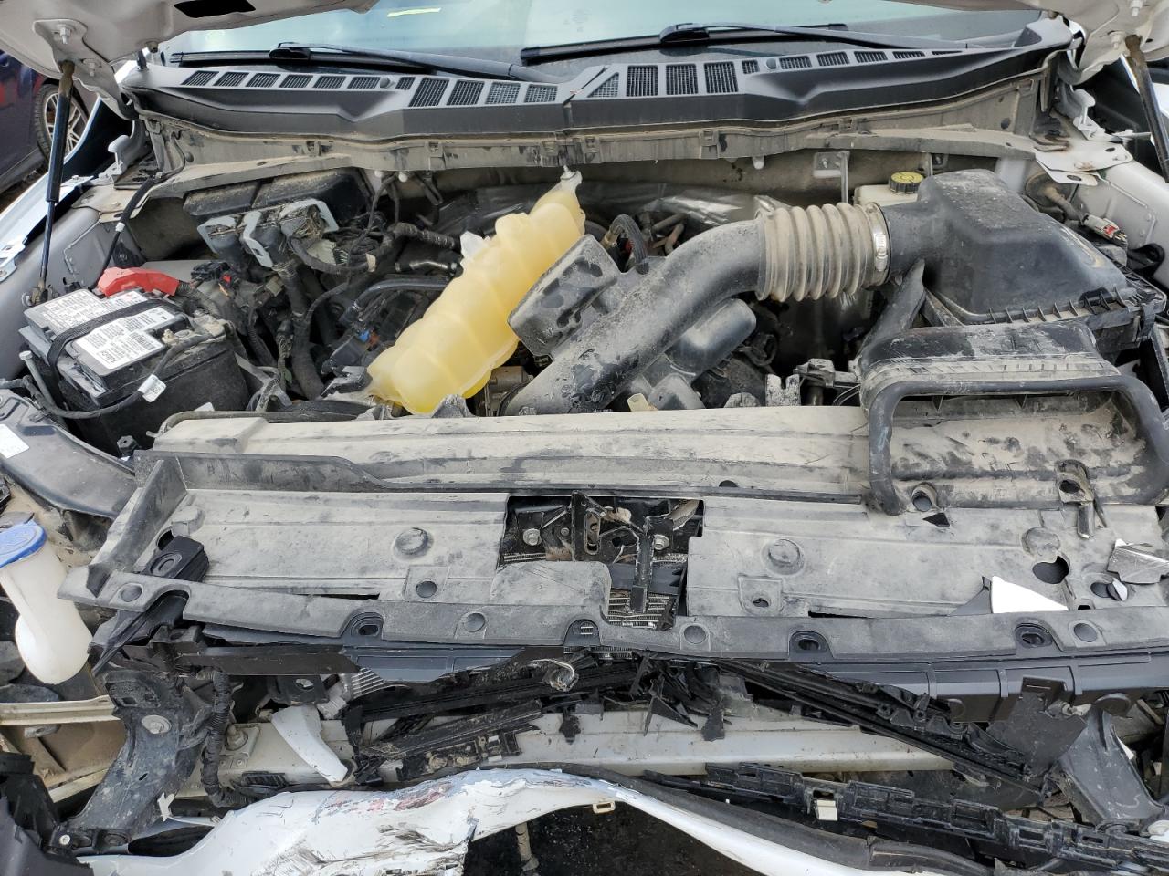1FTFW1E51MFC00293 FORD F-150 2021