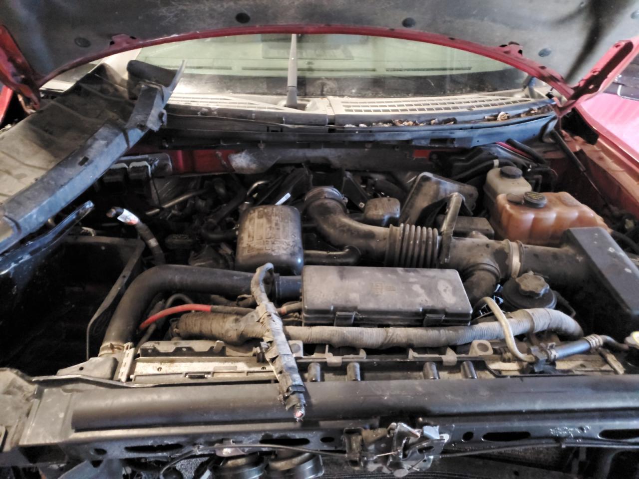 2010 Ford F-150 - Image 13