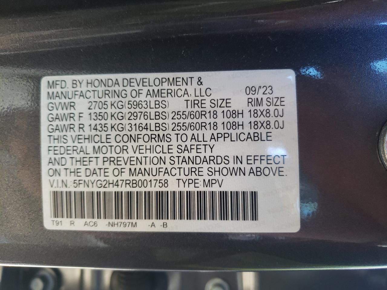 5FNYG2H47RB001758 HONDA PILOT 2024