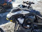 2024 Skidoo Mxz for Sale in Albany, NY - Front End