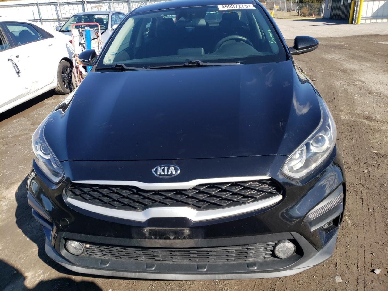 2019 Kia Forte - Image 5