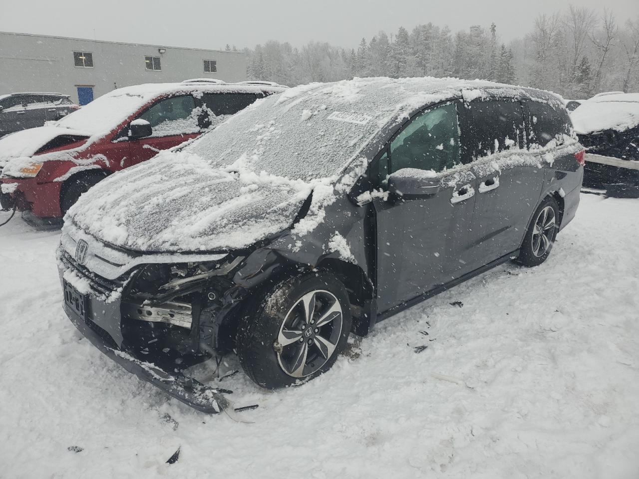 5FNRL6H60LB504967 HONDA All Models 2020