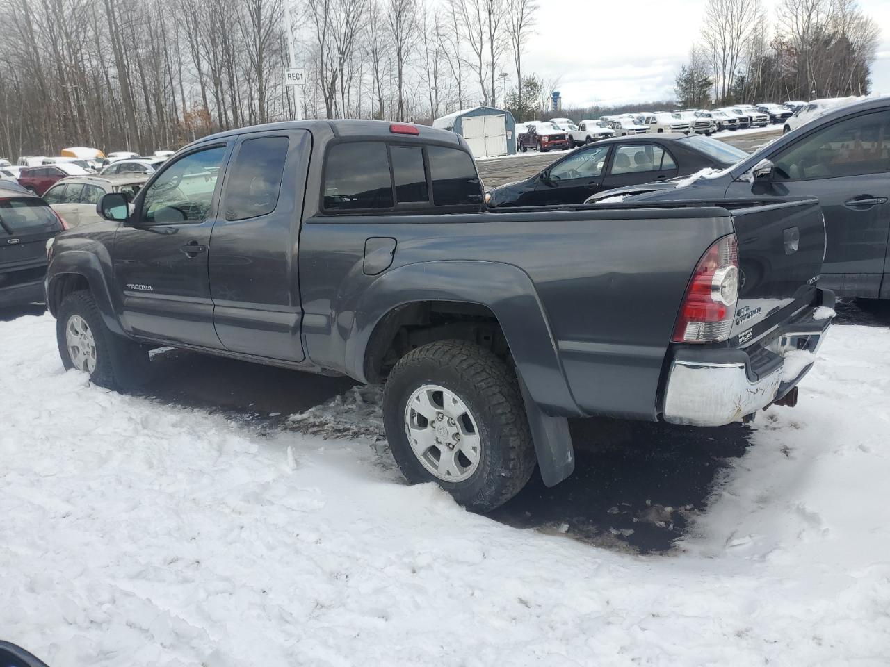 2013 Toyota Tacoma - Image 2