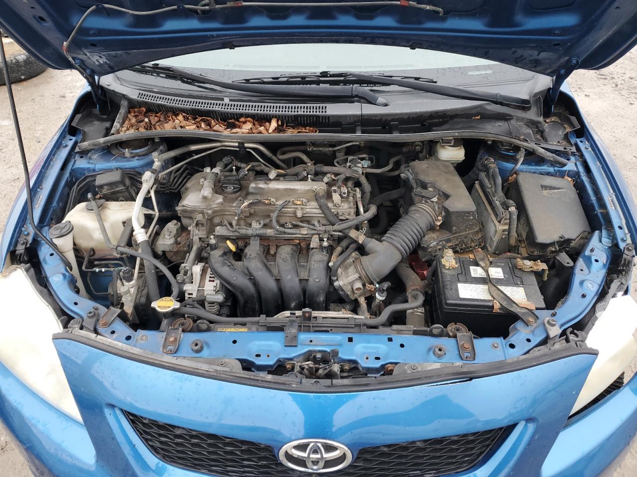 2009 Toyota Corolla - Image 12