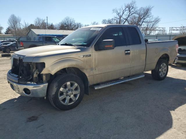  FORD F-150 2013 Колір засмаги