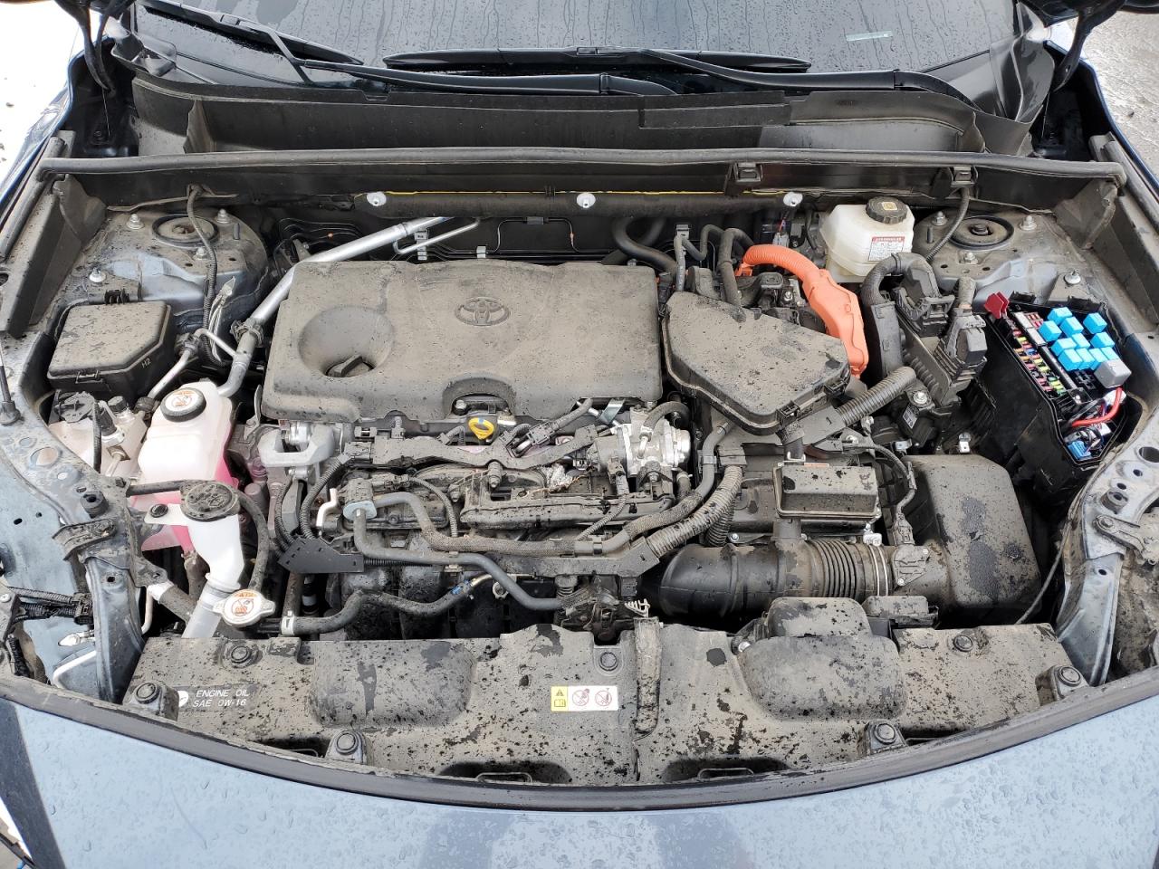JTEAAAAH0PJ140495 TOYOTA VENZA 2023