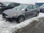 2019 Hyundai Sonata Limited zu verkaufen in Assonet, MA - Front End
