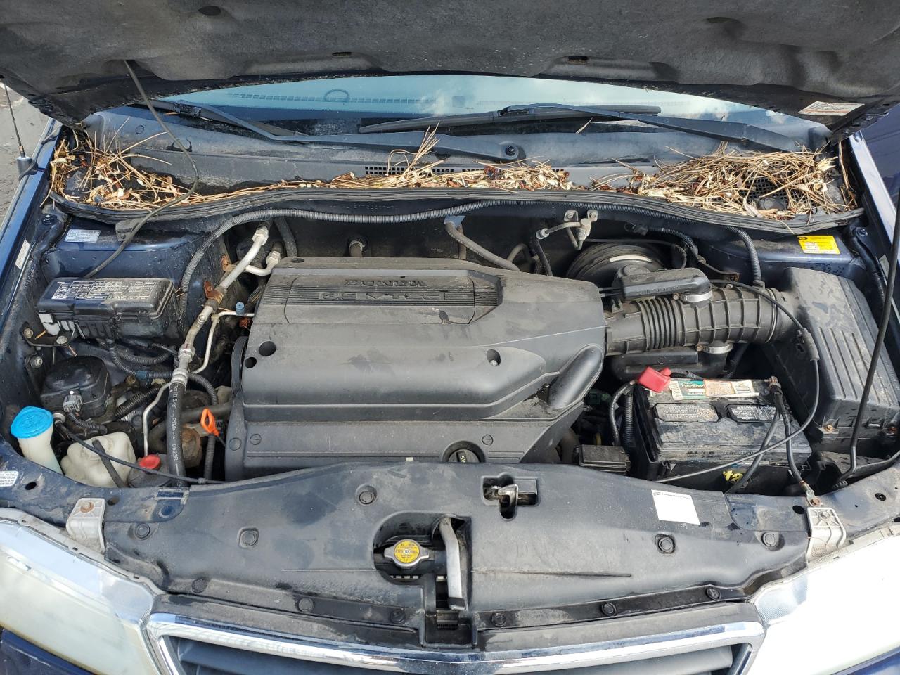2003 Honda Odyssey - Image 12