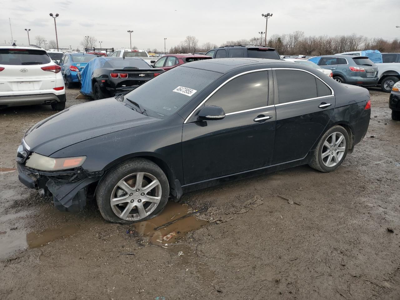 Acura TSX