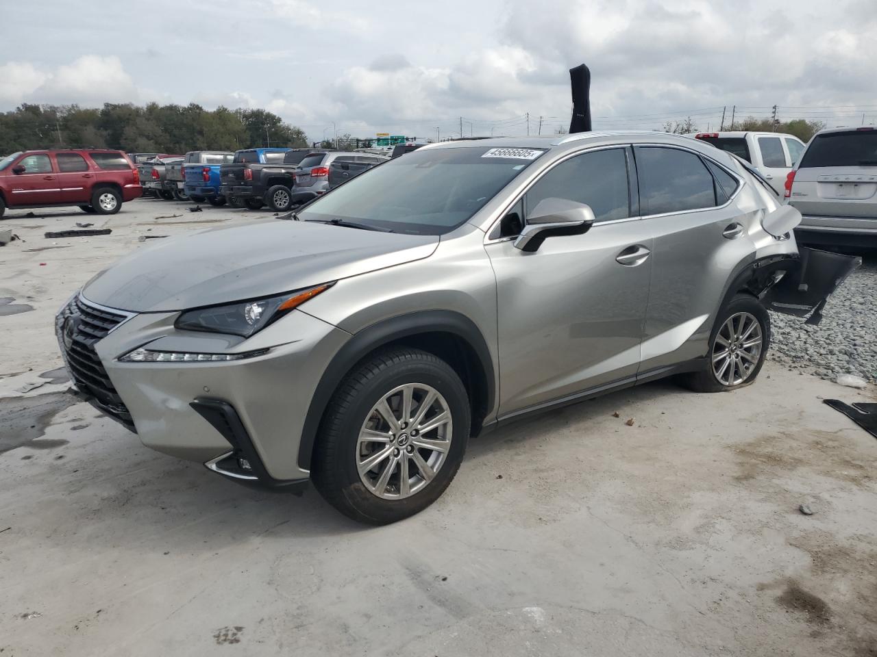 2021 Lexus NX - Image 1