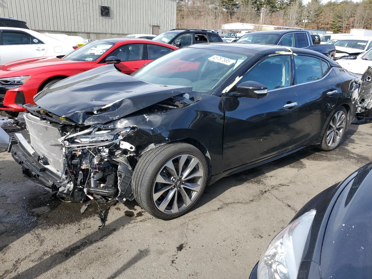2023 Nissan Maxima Platinum na sprzedaż w Exeter, RI - Front End