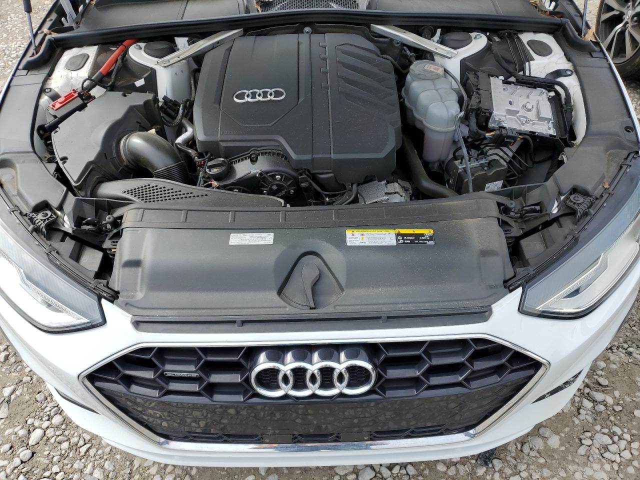 2021 Audi A4 VIN: WAUBAAF49MA031307 Lot: 45544045