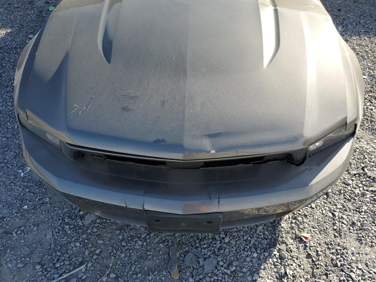 2010 Ford Mustang VIN: 1ZVBP8AN8A5131675 Lot: 45100495