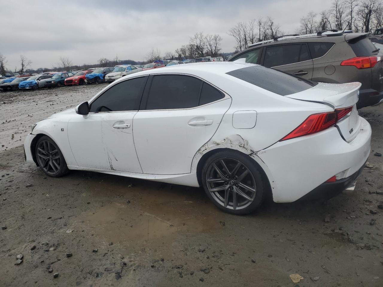 2019 Lexus IS - Image 2
