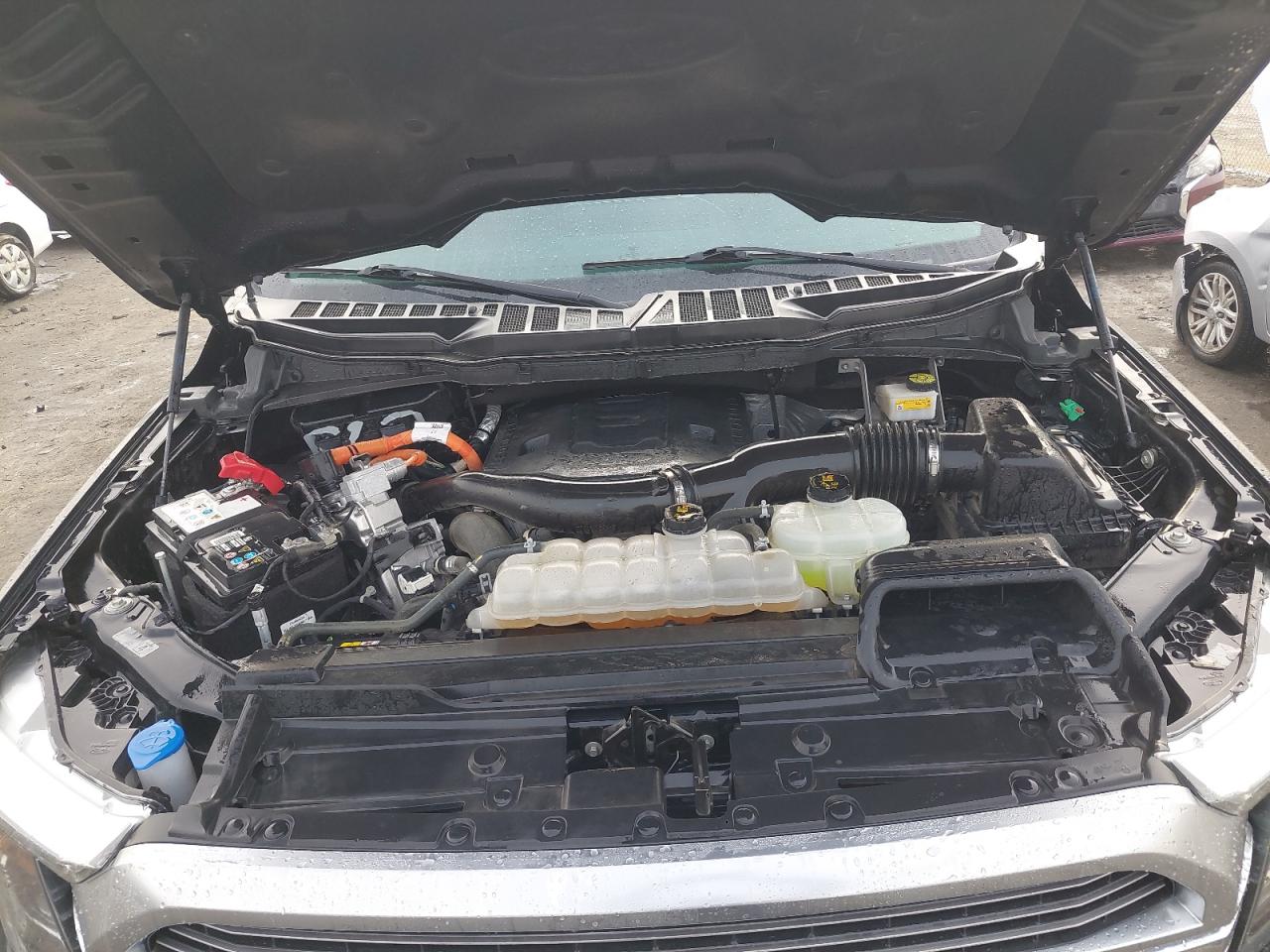 1FTFW1ED4PFB06503 - 2023 Ford F150 Super Cab - #44094085