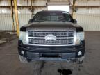 2009 Ford F150 Supercrew na sprzedaż w Phoenix, AZ - Side