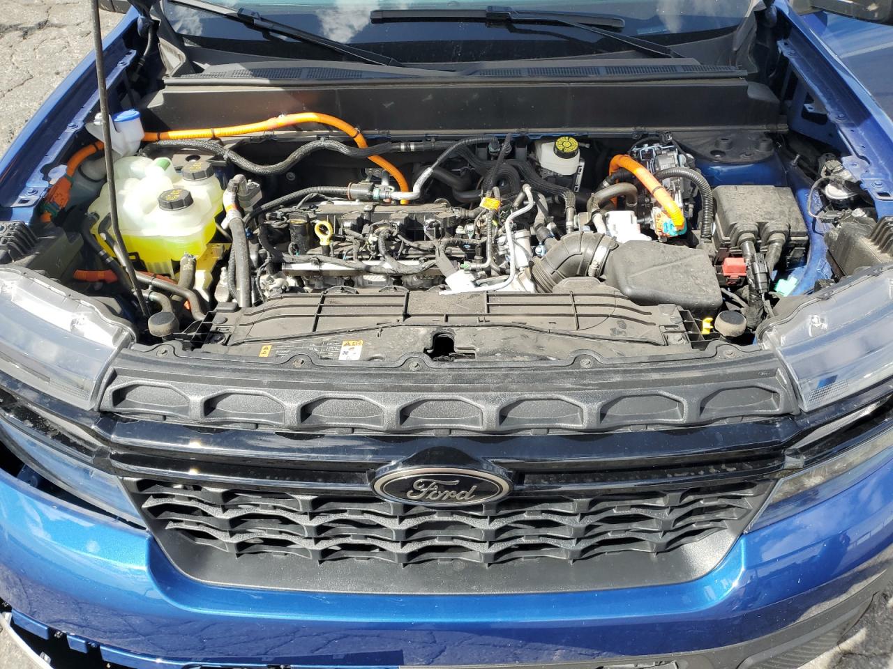 3FTTW8H31RRA55448 FORD MAVERICK 2024