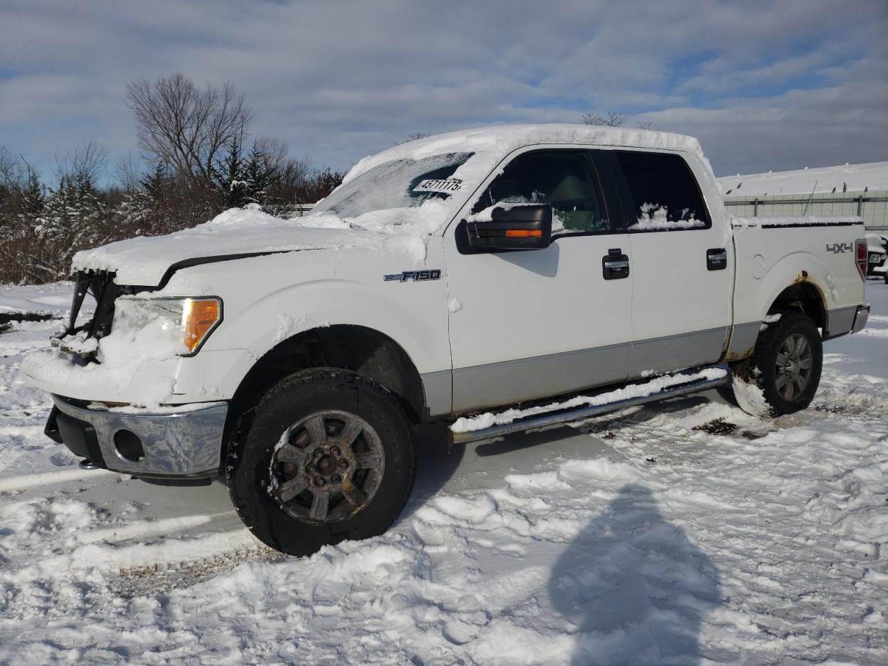 2010 Ford F-150 - Image 1