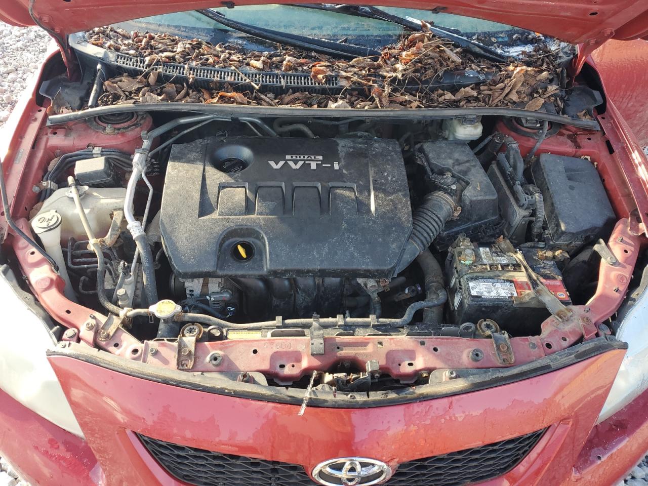 2010 Toyota Corolla - Image 11