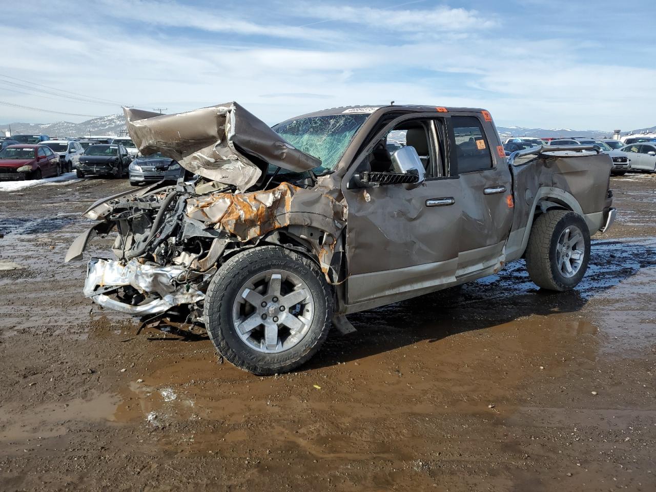 2010 Dodge Ram 1500 en Venta en Helena, MT - Biohazard/Chemical