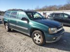 2005 Chevrolet Trailblazer Ext Ls zu verkaufen in Prairie Grove, AR - Hail