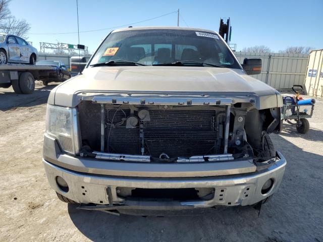  FORD F-150 2013 Колір засмаги