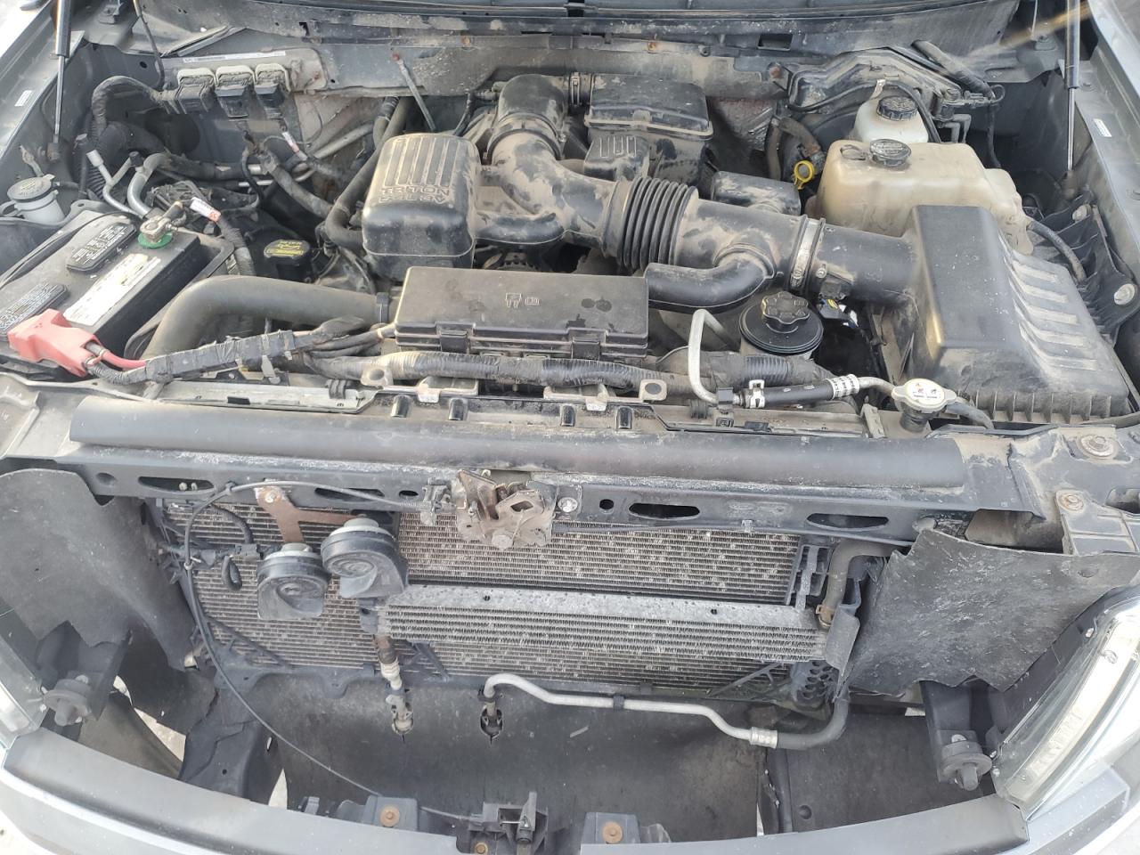 2010 Ford F-150 - Image 11