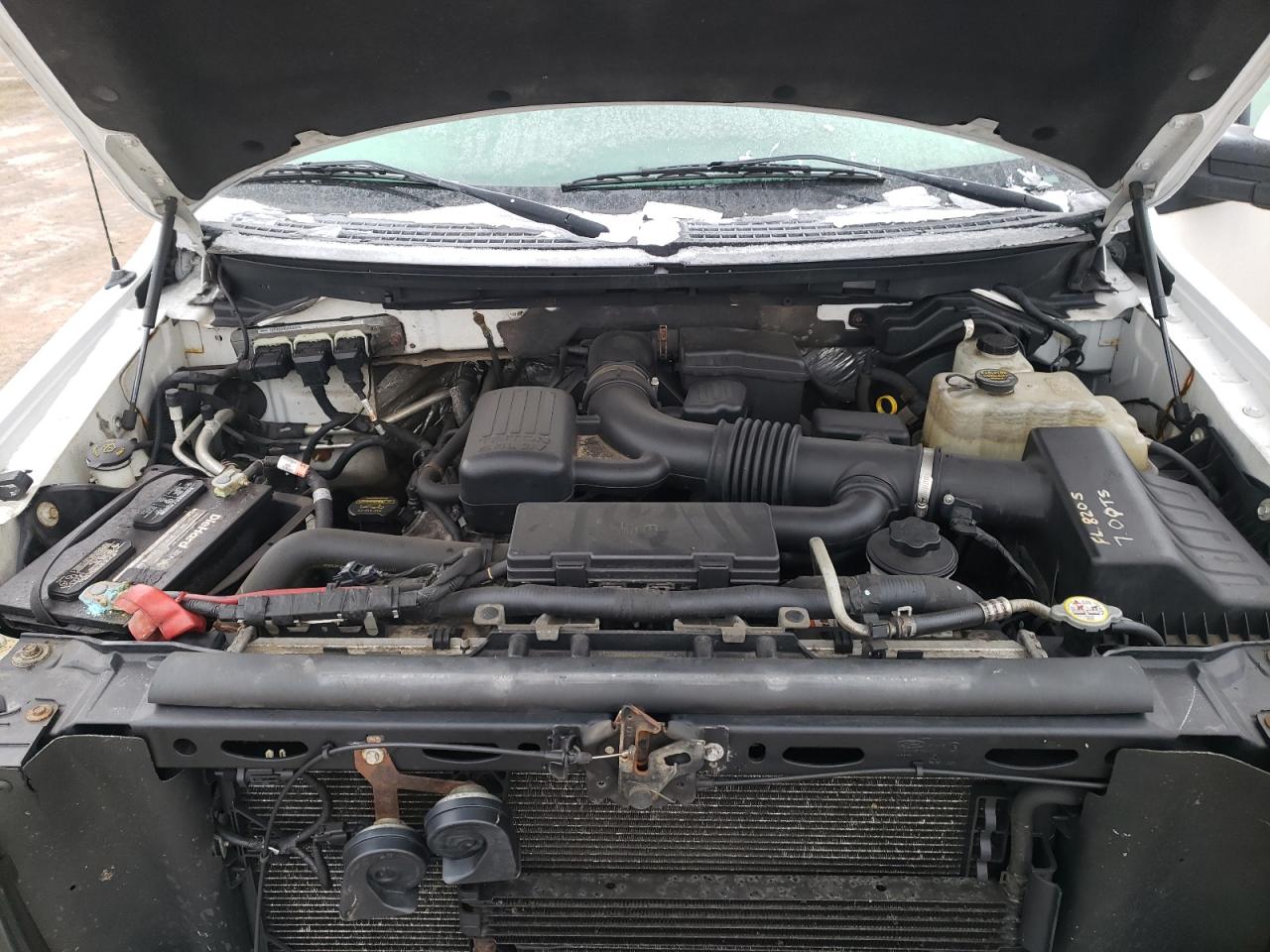 2010 Ford F-150 - Image 11