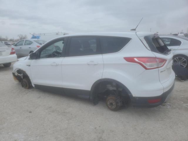 Паркетники FORD ESCAPE 2014 Белый
