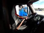 2014 Freightliner Cascadia 125  for Sale in Colton, CA - All Over