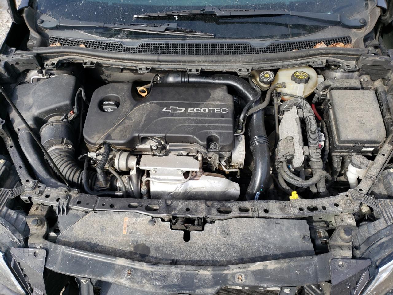 1G1BE5SM6G7325494 CHEVROLET CRUZE 2016