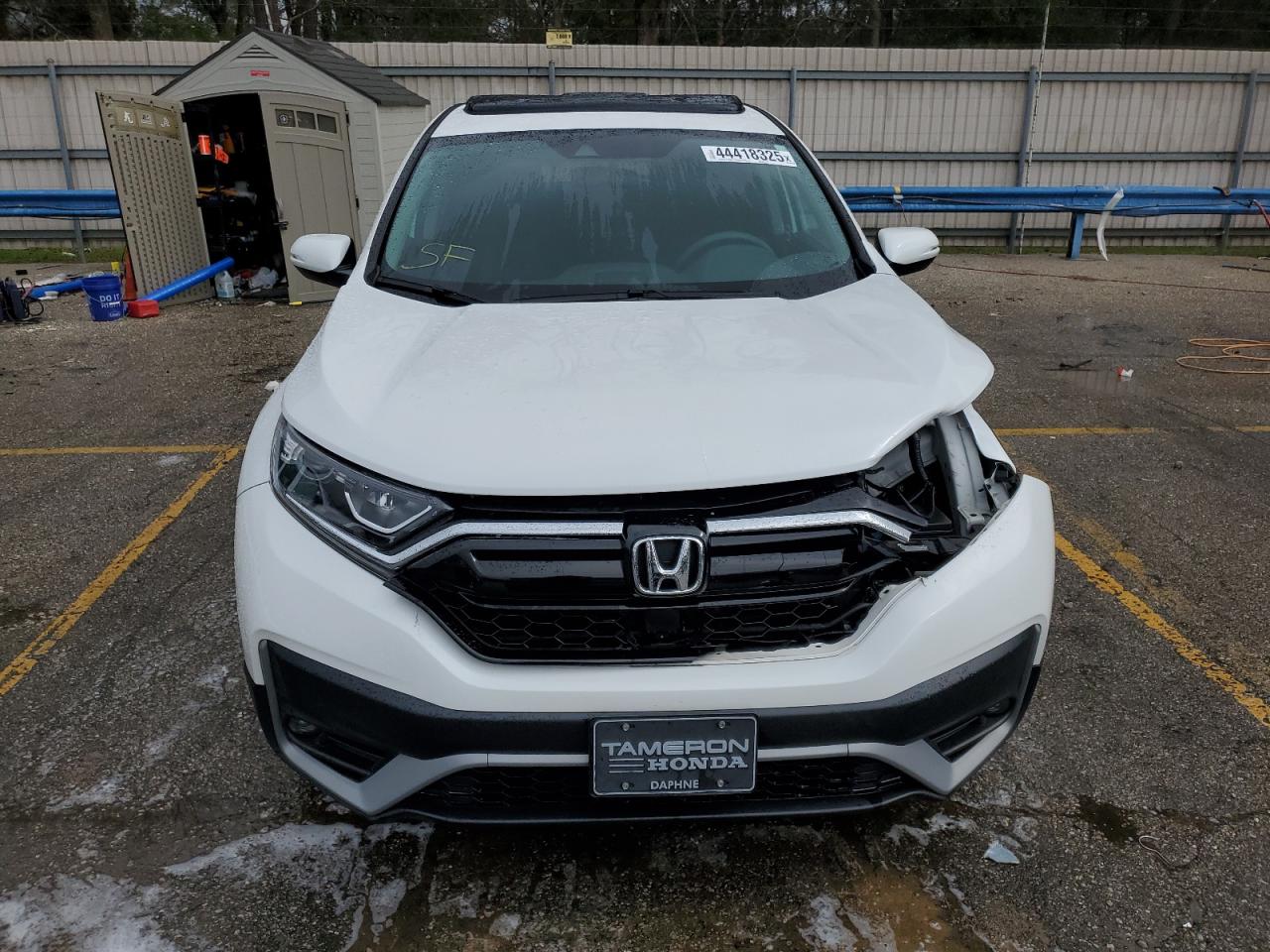 2021 Honda CR-V - Image 5