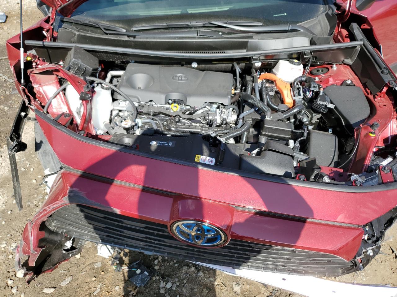 JTMLWRFV3RD590624 TOYOTA RAV4 2024