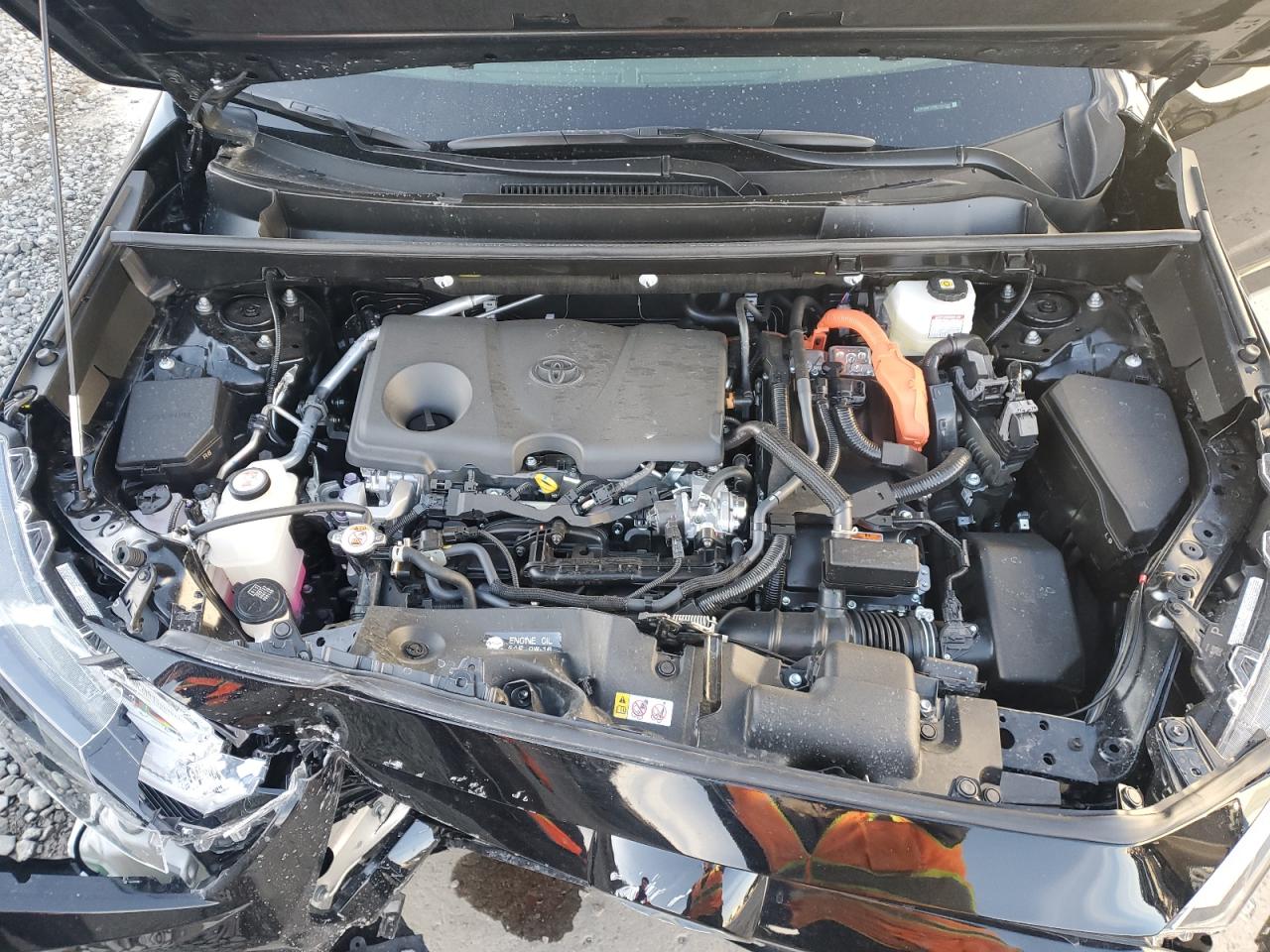 JTM16RFV7RD151062 TOYOTA RAV4 2024
