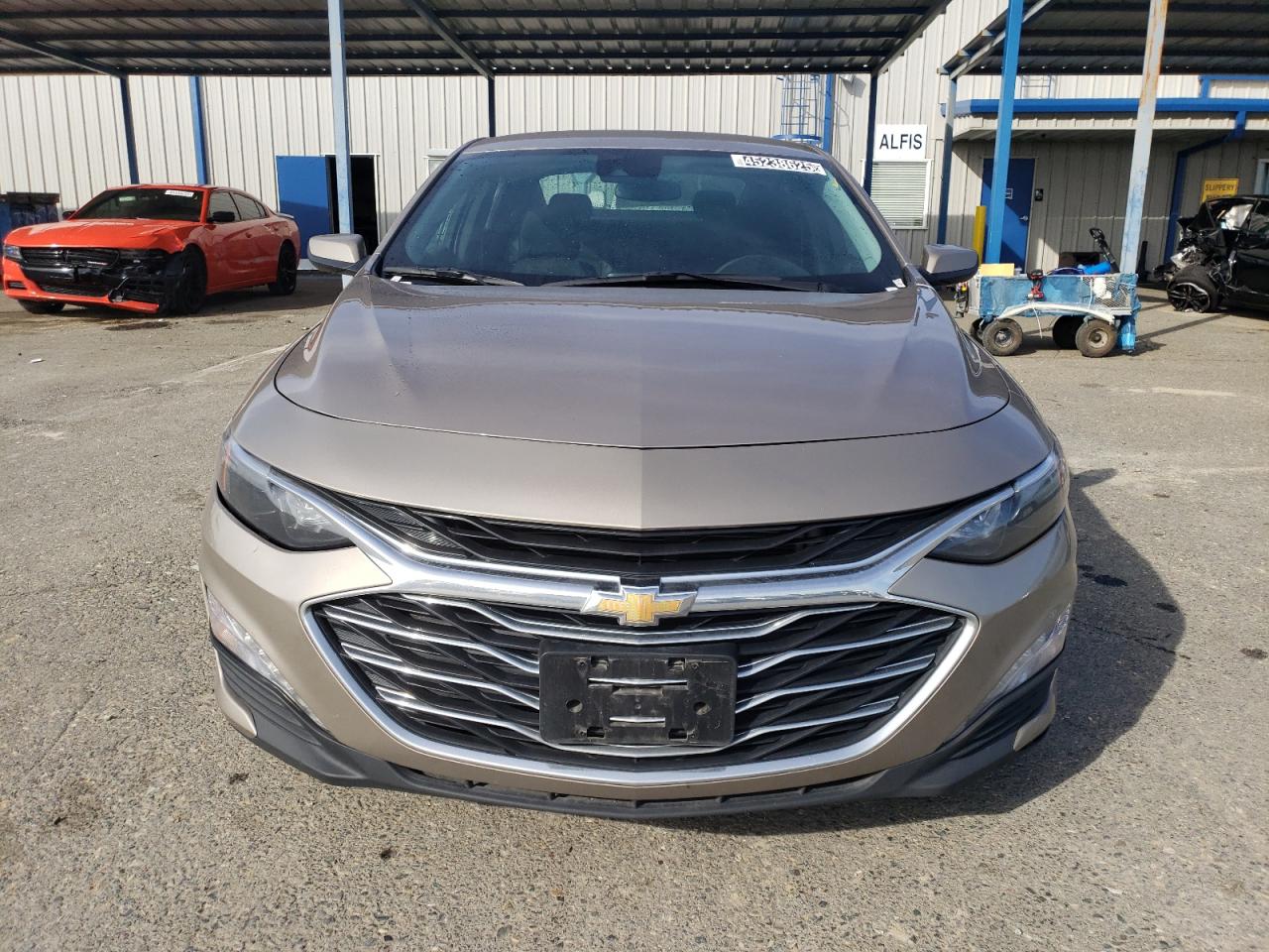 2023 Chevrolet Malibu - Image 5
