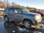 2009 Honda Pilot Touring na sprzedaż w Brookhaven, NY - Minor Dent/Scratches