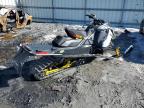 2024 Skidoo Mxz for Sale in Albany, NY - Front End