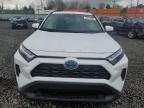 2024 Toyota Rav4 Xle იყიდება Portland-ში, OR - Side