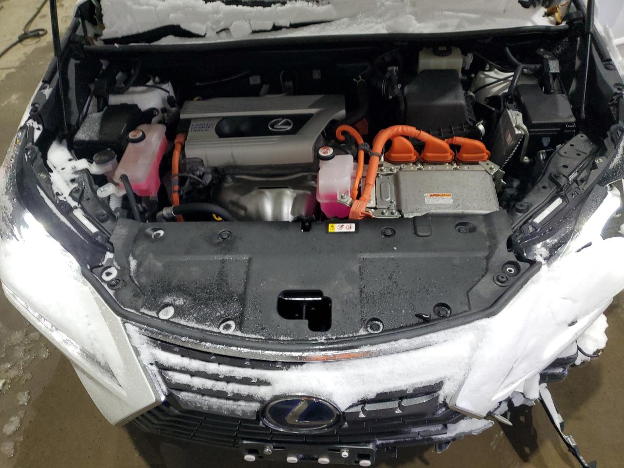 2021 Lexus NX - Image 13